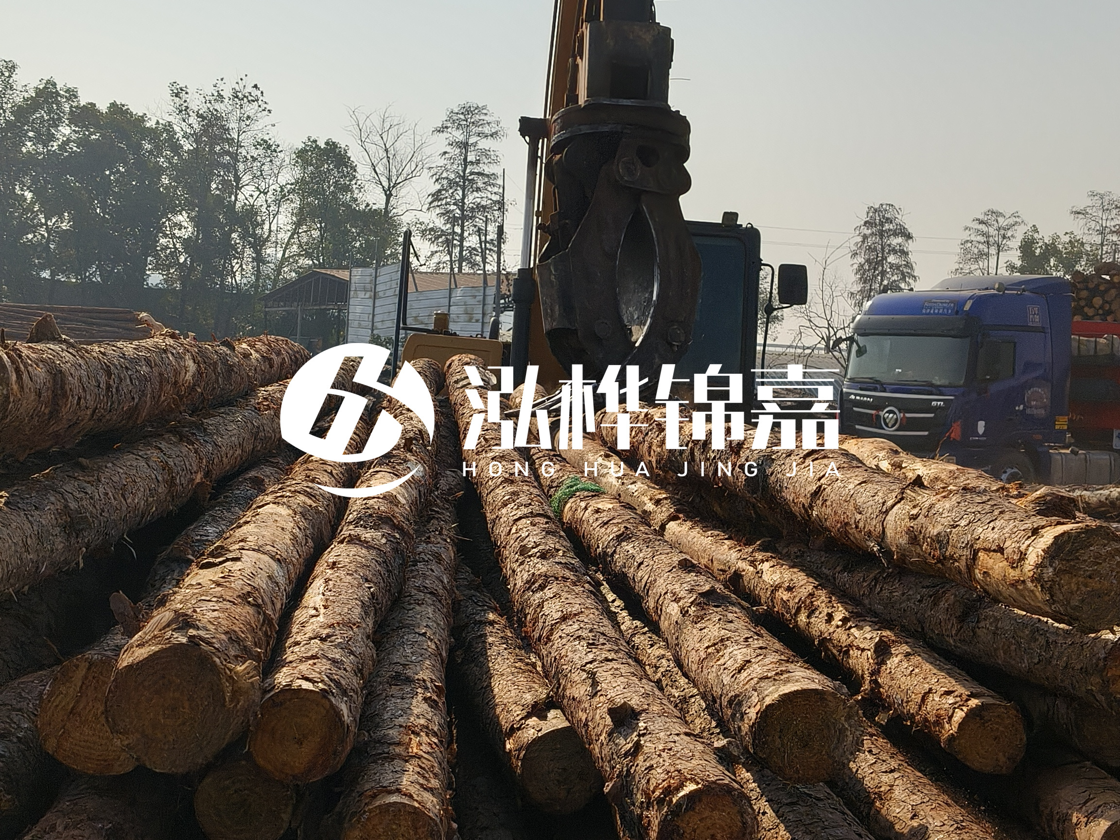 松木樁可以用來做什么？常用于哪些工程？